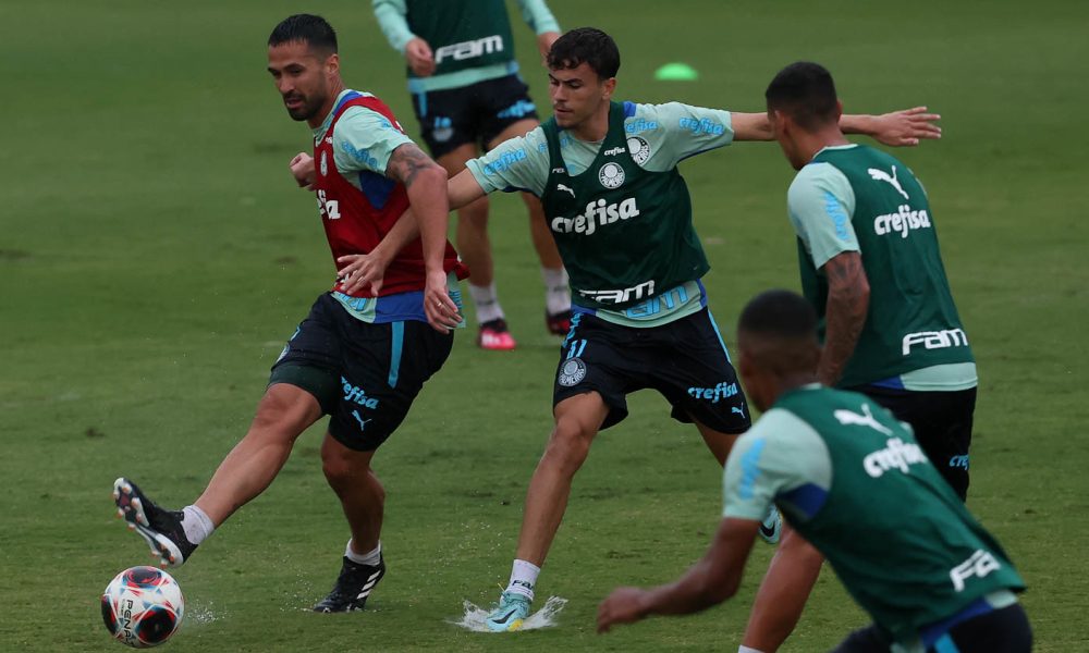 Dupla Da Base Do Palmeiras Treina Profissionais E Pode Ser