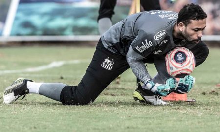 Vladmir apalavrado com o Santos