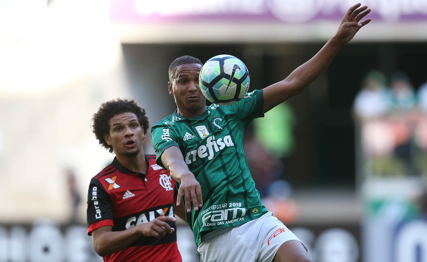 Palmeiras e Flamengo