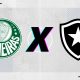 Palmeiras x Botafogo - ENM