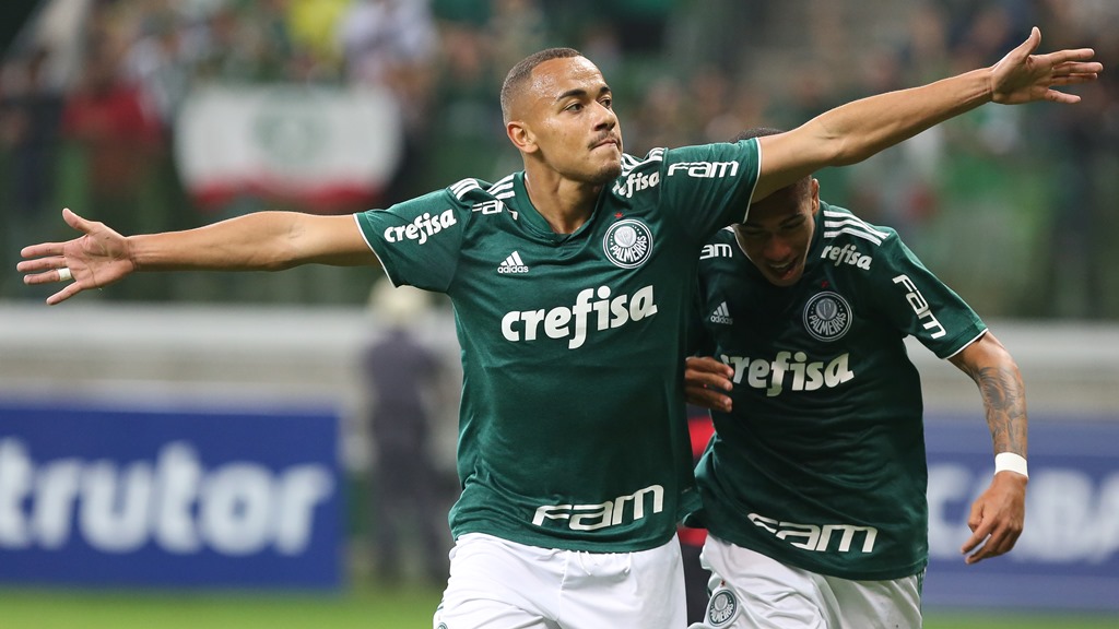 Papagaio - Palmeiras