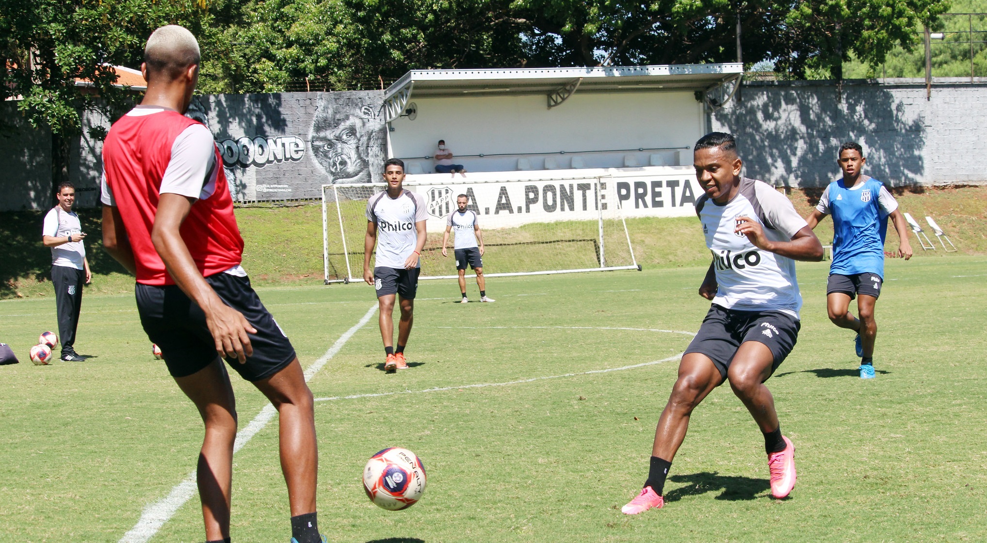 Ponte Preta revela planos para sequência do Paulistão: 'Reforçar o elenco'