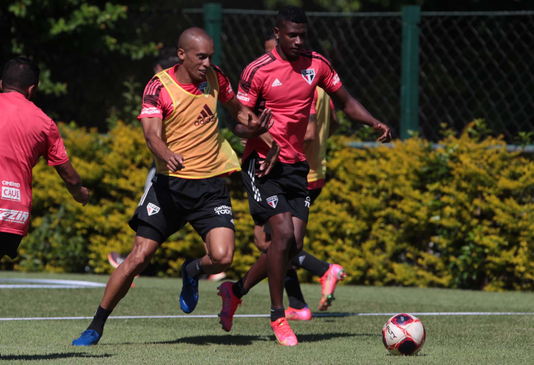 Bombou na semana do São Paulo: Tricolor cabeça de chave na Liberta e reforços que já podem estrear; veja o top 5