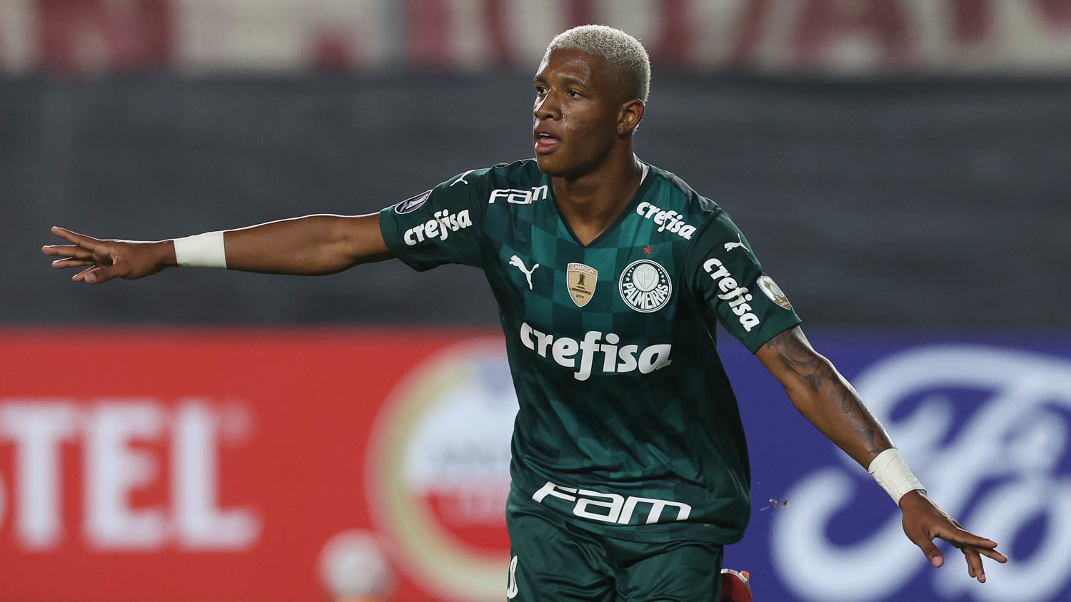 Danilo Palmeiras