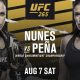 UFC 265 Amanda Nunes x Julianna Pena