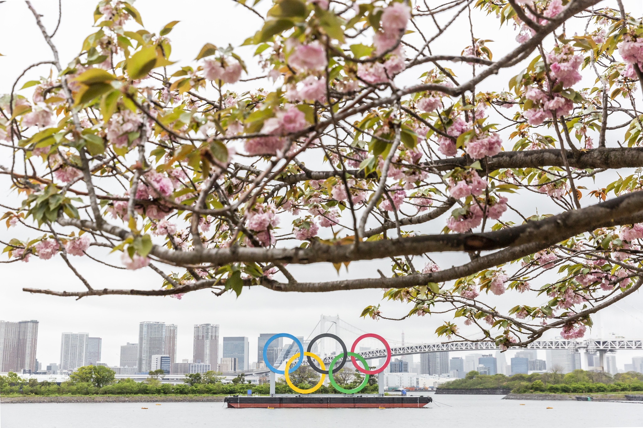 Agenda Olimpíada de Tóquio; confira os horários e destaques de quinta, 29 de julho
