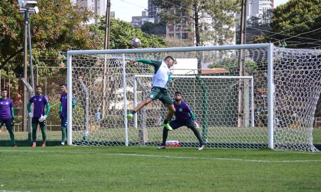 Guarani se reapresenta e inicia preparação para encarar o Botafogo