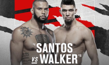 UFC Marreta x Walker