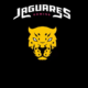 Jaguares Esports encerra as operações temporariamente. A decisão foi tomada após polêmicas envolvendo atrasos.