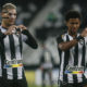 Botafogo Brusque