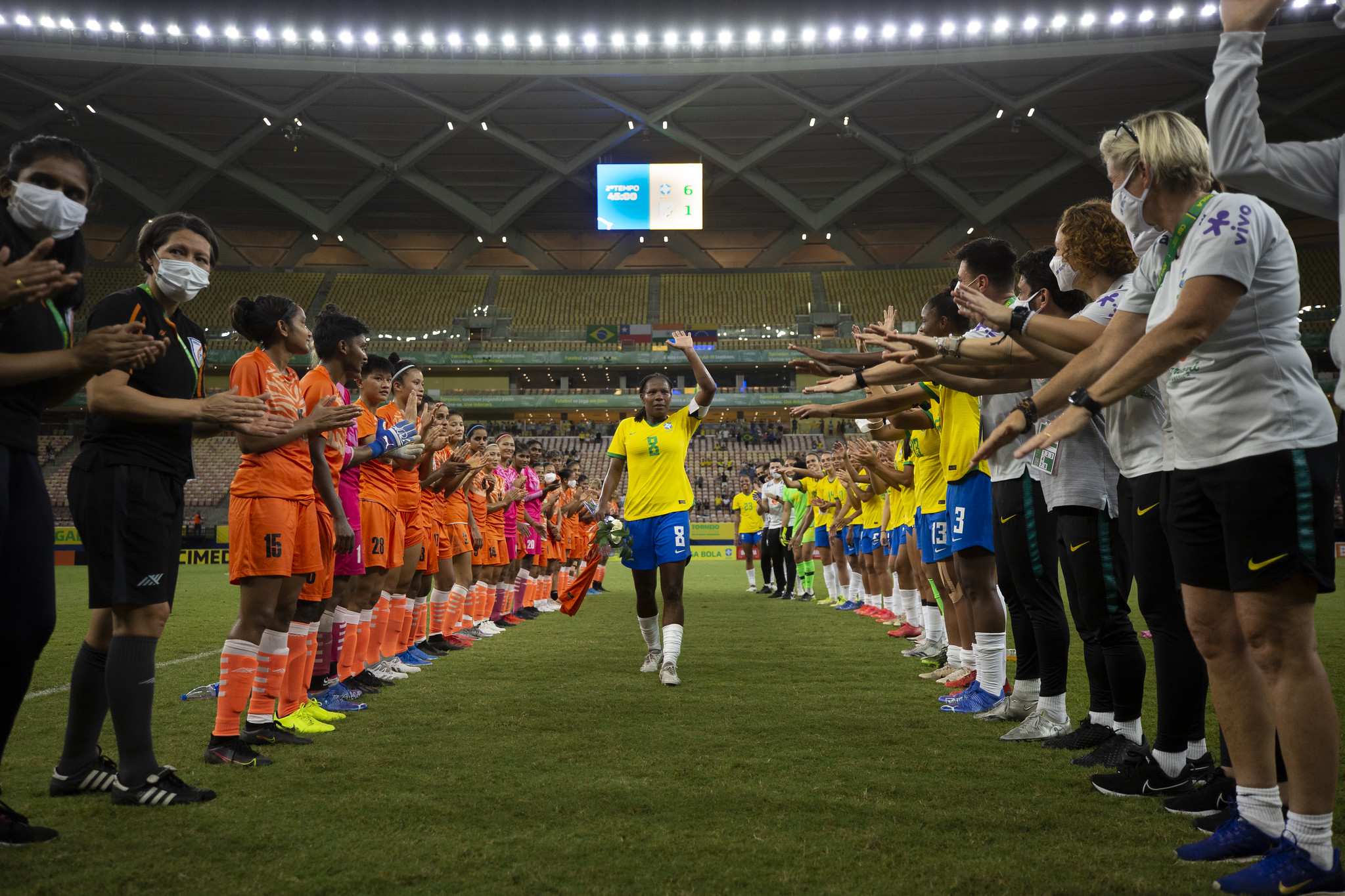 Formiga se despedindo em campo