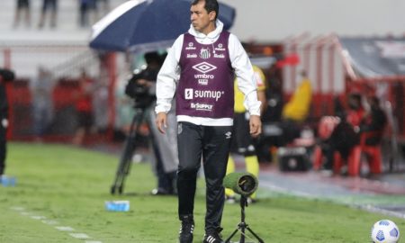 Fábio Carille em campo após empate do Santos