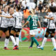 Corinthians x Palmeiras. Foto: Rodrigo Gazzanel / Ag. Corinthians