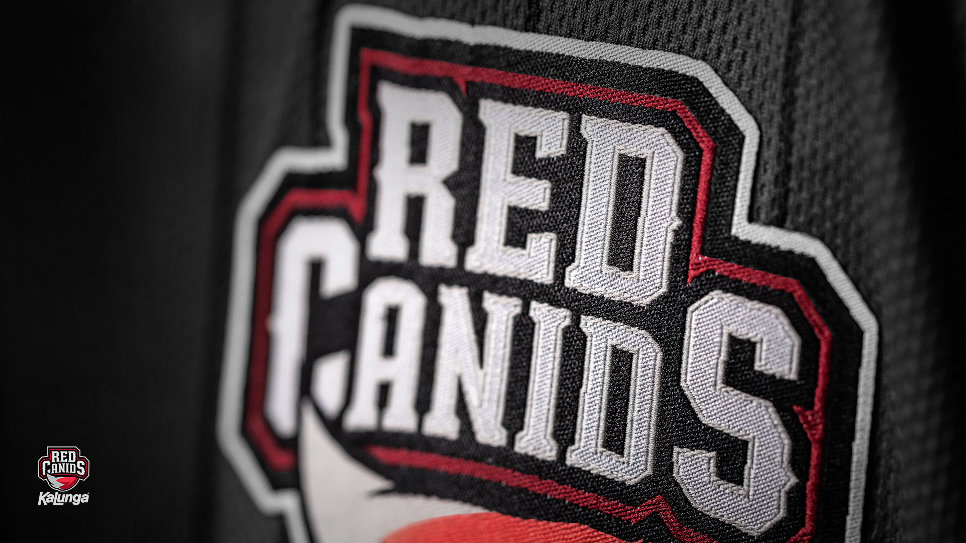 RED Canids Kalunga anuncia novas contratações para o CBLOL Academy