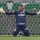 O goleiro Weverton, da SE Palmeiras, em jogo contra a equipe do Fluminense FC, durante partida válida pela décima terceira rodada, do Campeonato Brasileiro, Série A, na arena Allianz Parque. (Foto: Cesar Greco)