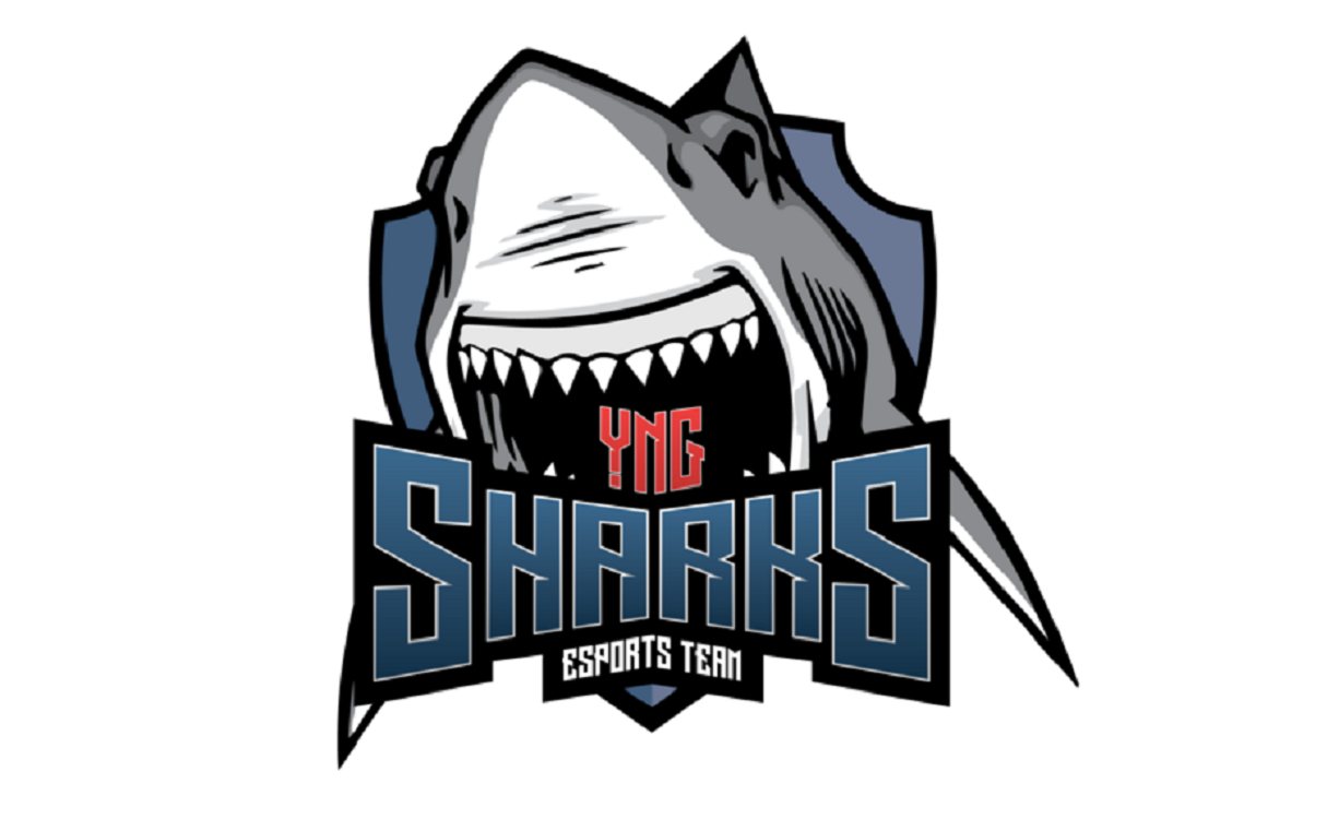 YNG Sharks anuncia renovação total no time de Valorant, a equipe atual será movida para o banco de reservas.