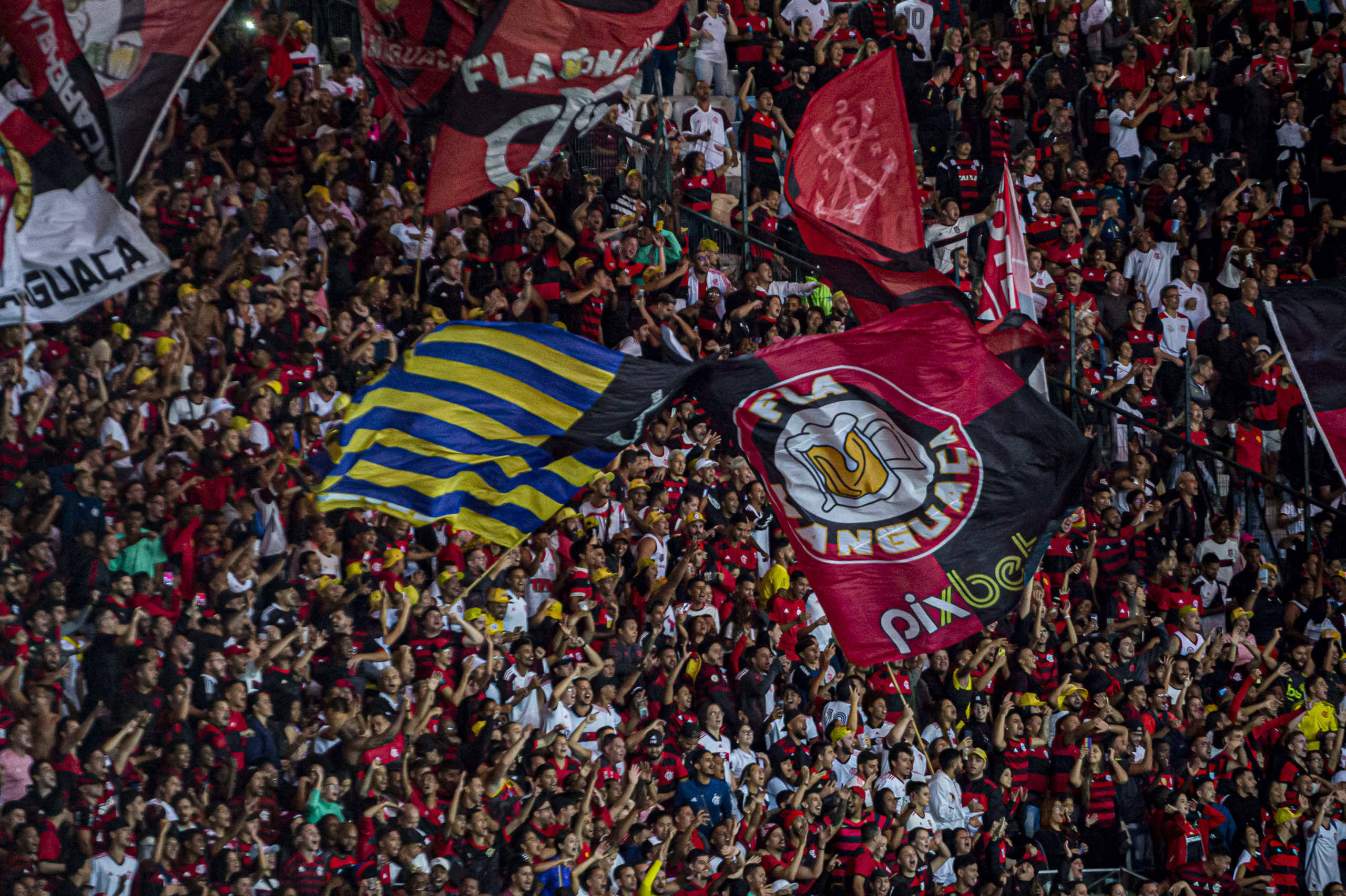 Casa cheia! Ingressos para América-MG e Flamengo estão esgotados