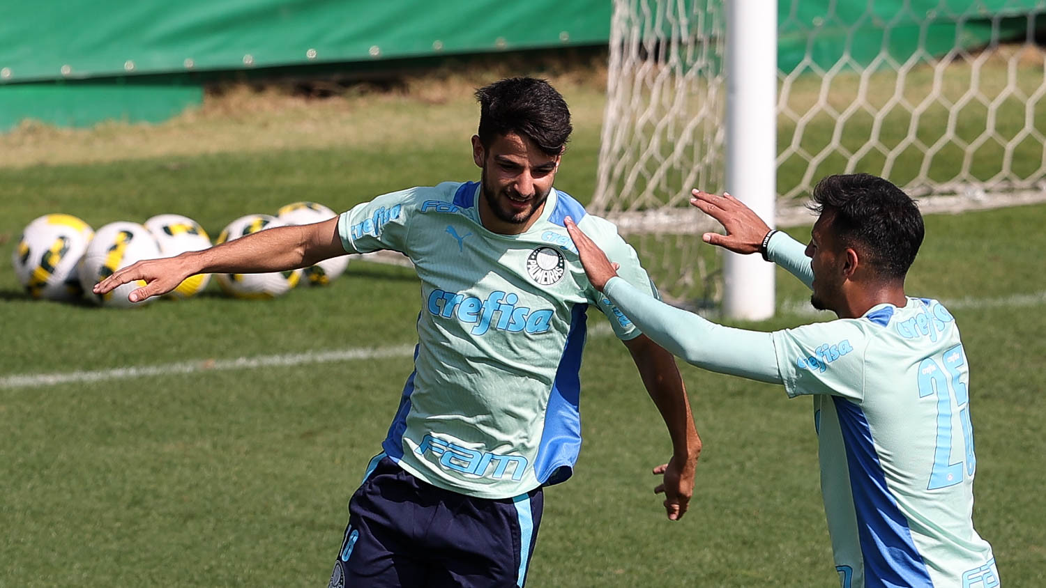 Palmeiras treino