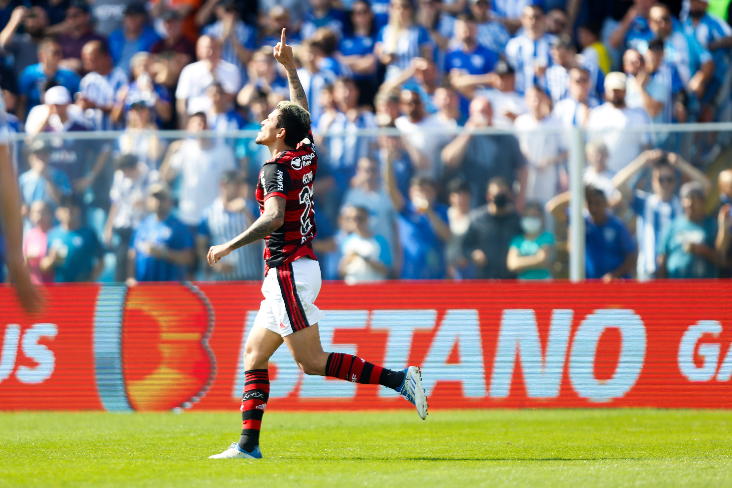 Autor de dois gols na partida, Pedro enaltece trabalho de Dorival e comemora fase pelo Flamengo: ‘Me sinto mais forte mentalmente’