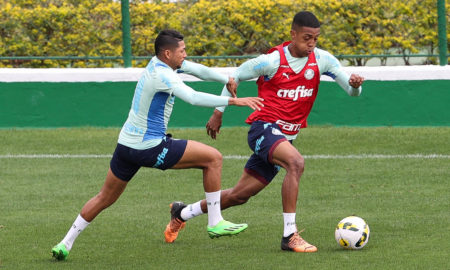 Rony e Vanderlan Palmeiras
