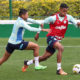 Rony e Vanderlan Palmeiras