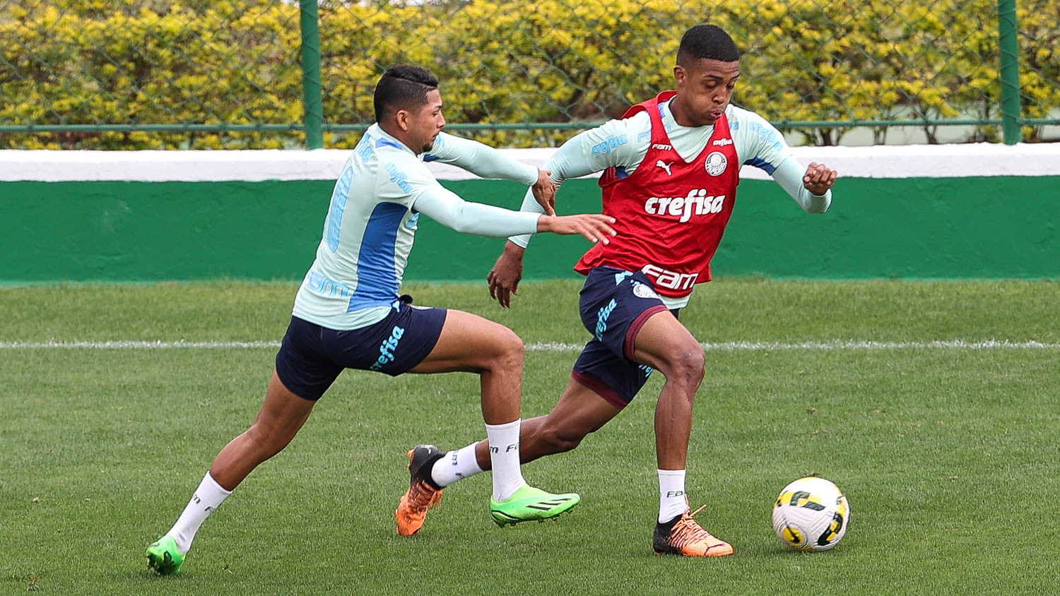 Rony e Vanderlan Palmeiras