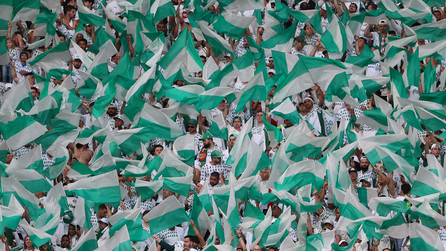 Palmeiras público