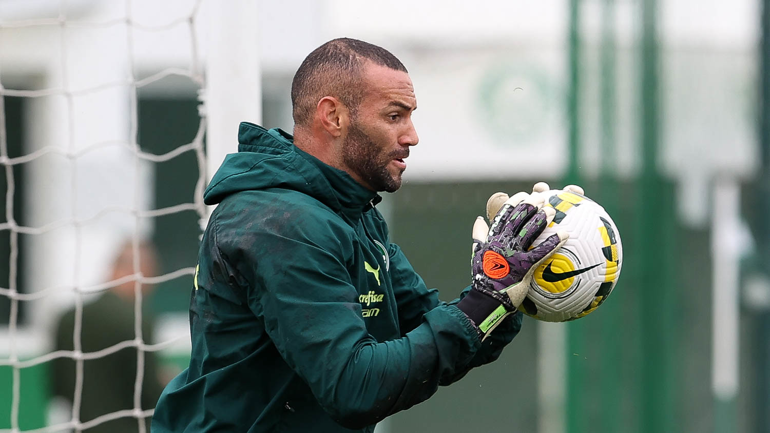 Weverton Palmeiras