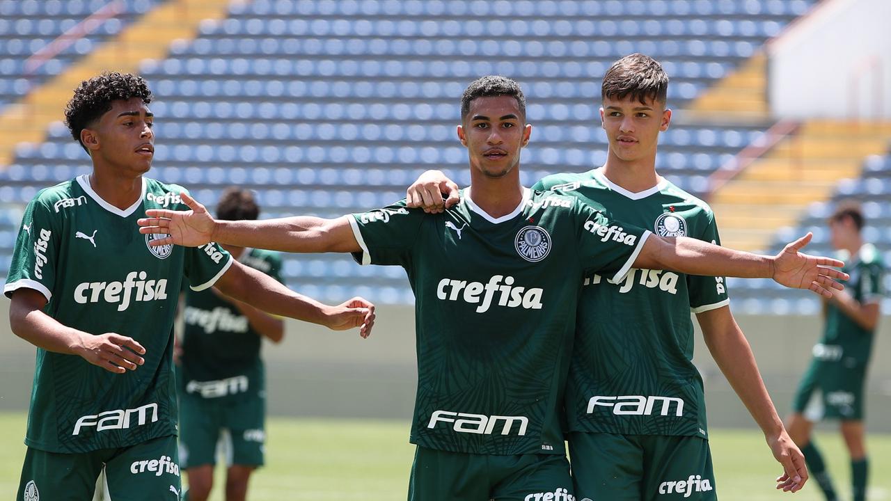David Kauã Palmeiras