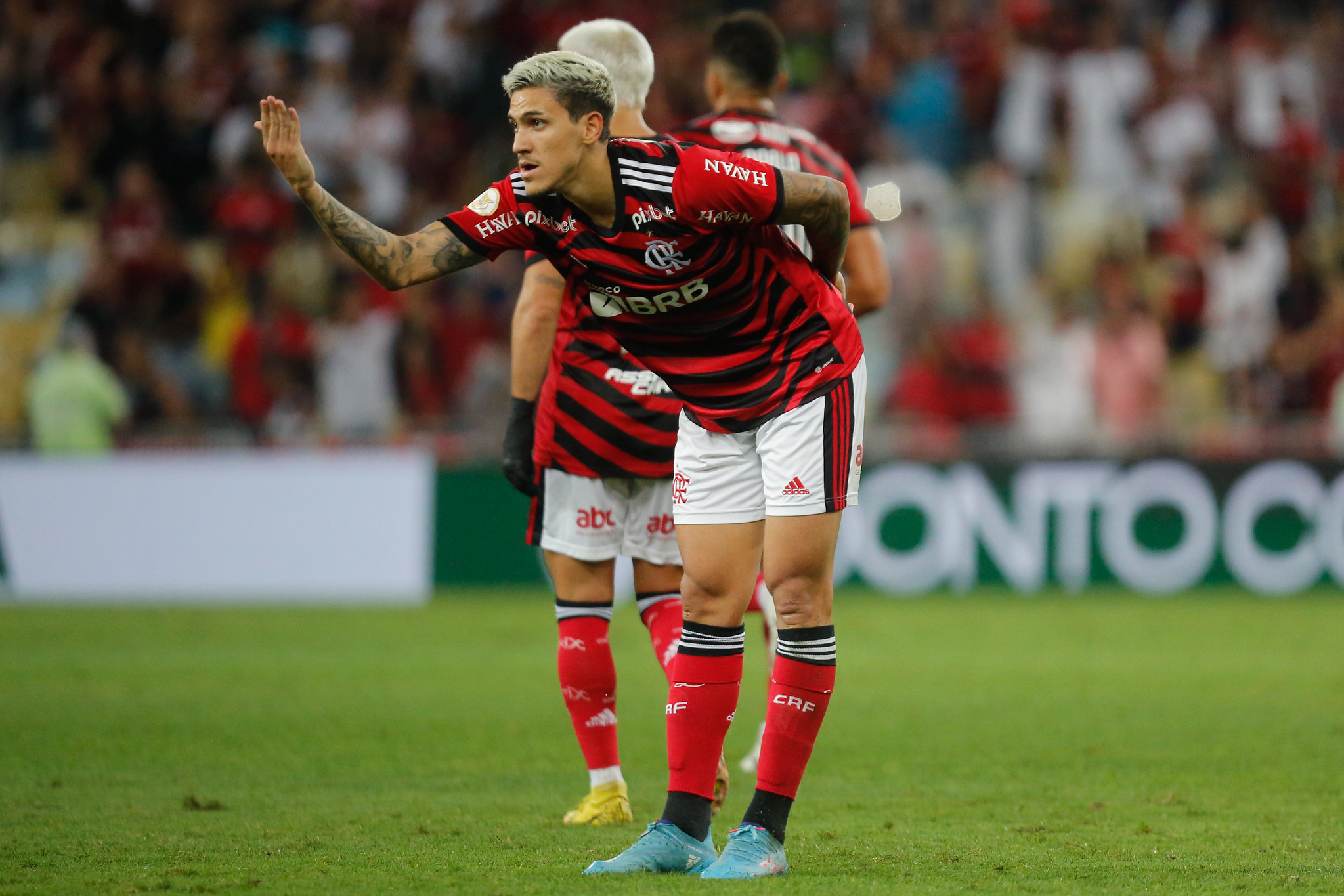 Pedro chega a 100 gols na carreira após hat-trick pelo Flamengo