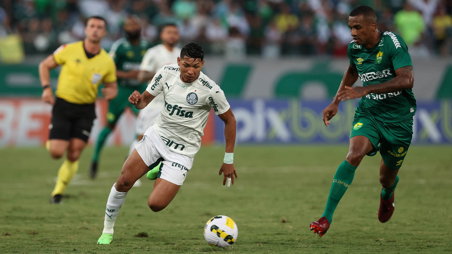 Palmeiras