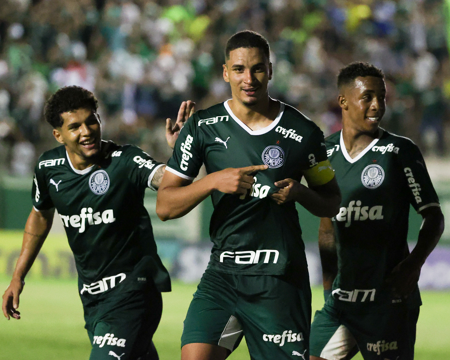 Palmeiras