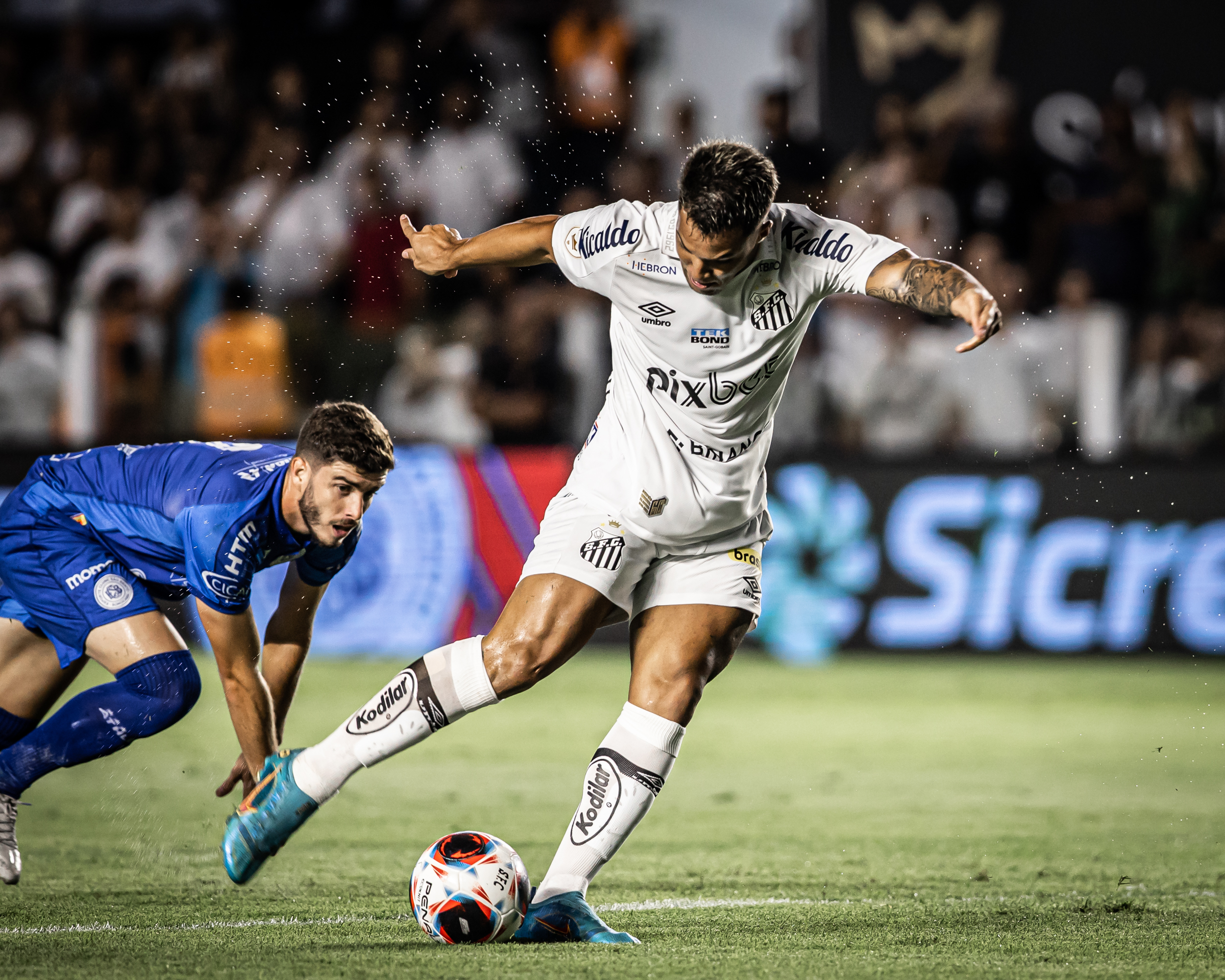 Santos x Portuguesa: veja onde assistir ao jogo pelo Paulista