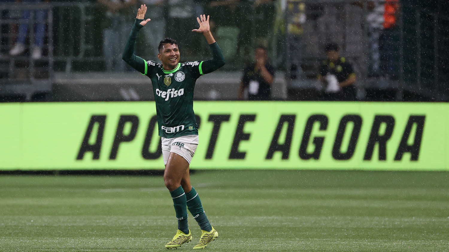 Rony Palmeiras