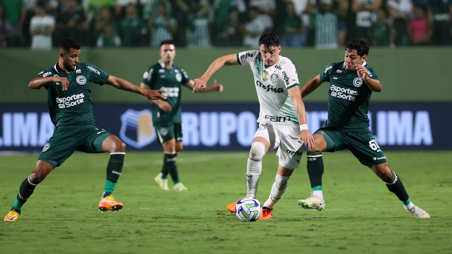 Piquerez Palmeiras