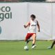 David Luiz e Rodrigo Caio treinam em reapresentação do Flamengo e devem ser relacionados contra o Athletico