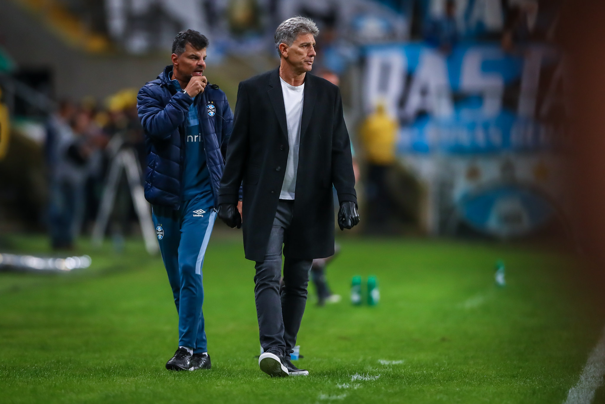 Renato Portaluppi, técnico do Grêmio Foto: Lucas Uebel/Grêmio FBPA
