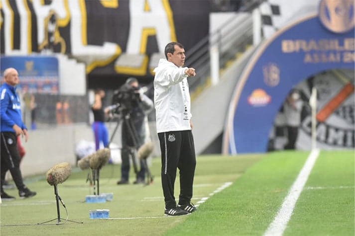 Fábio Carille em comando técnico no Santos (Divulgação: Santos FC)