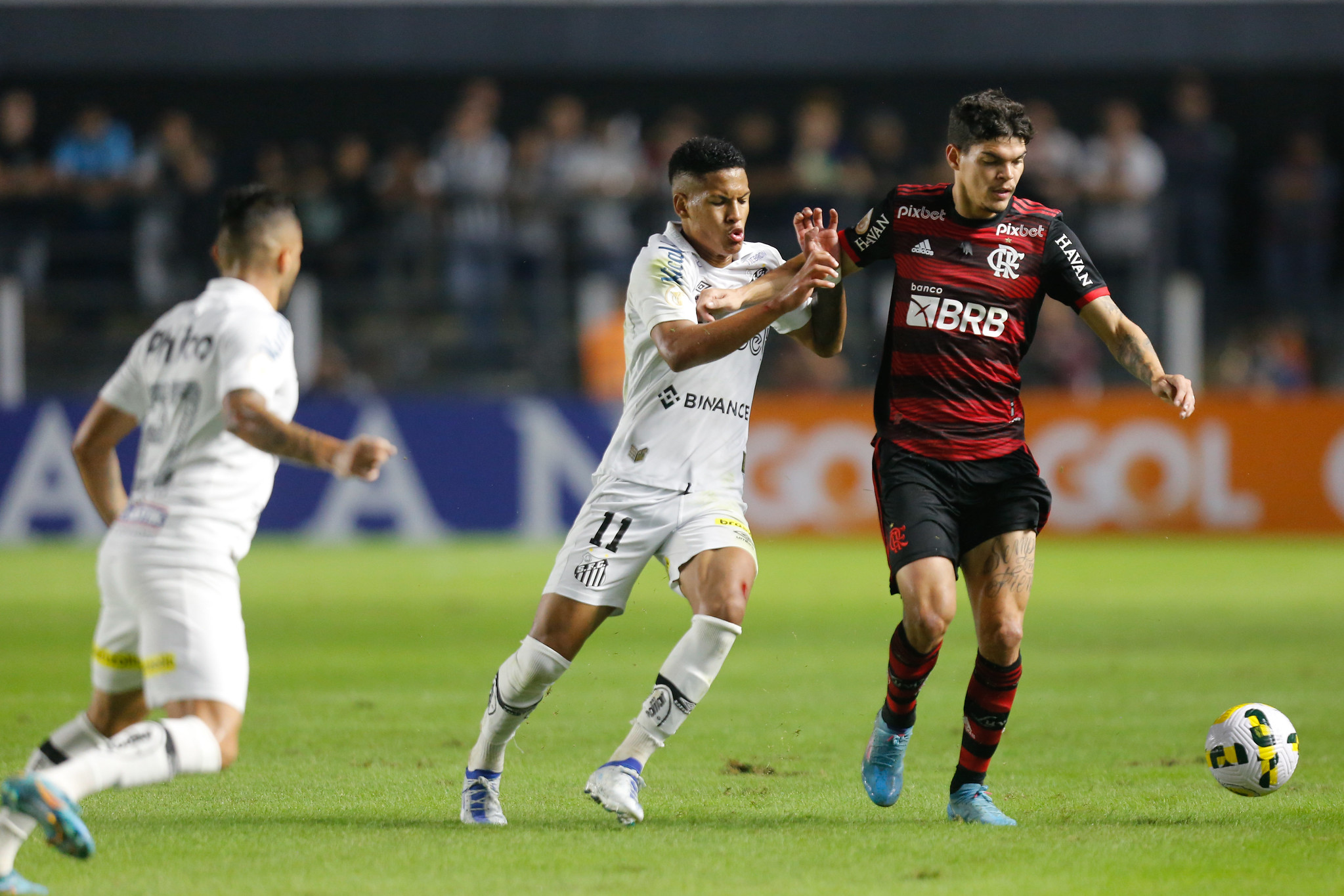 No Brasileirão do ano passado, Flamengo venceu o Santos por 2 a 1 na Vila Belmiro (Foto: Gilvan de Souza | Flamengo)