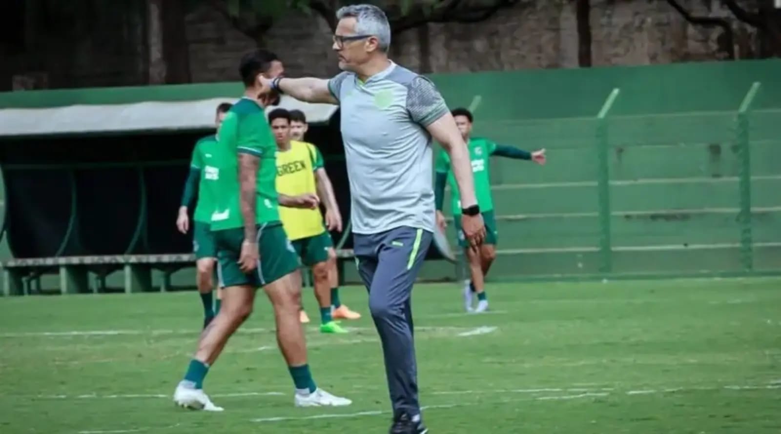 Armando Evangelista, novo técnico do Goiás (Foto: Rosiron Rodrigues/Goiás EC)