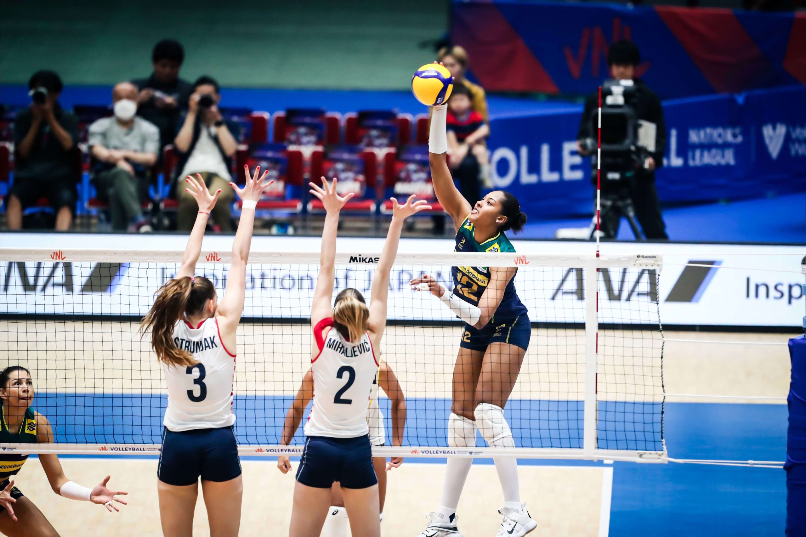 brasil vnl