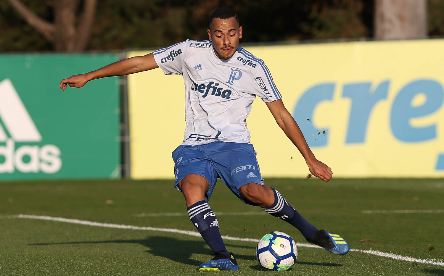 Rafael Elias assinará por três anos e meio com o Cruzeiro (Foto: Divulgação/Flickr Palmeiras)