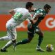 Palmeiras entra em campo visando aumentar série invicta contra times mineiros. (Foto: Cesar Greco/Palmeiras)