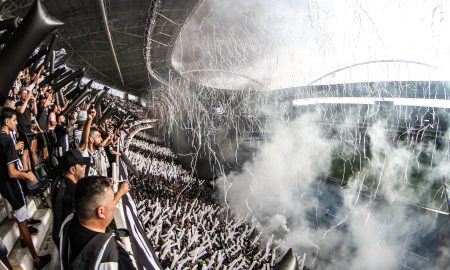 Festa da torcida do Botafogo no Nilton Santos (Foto: Vitor Silva/Botafogo)