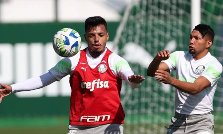 Palmeiras contará com Allianz Parque lotado (Foto: Cesar Greco/Palmeiras/by Canon)