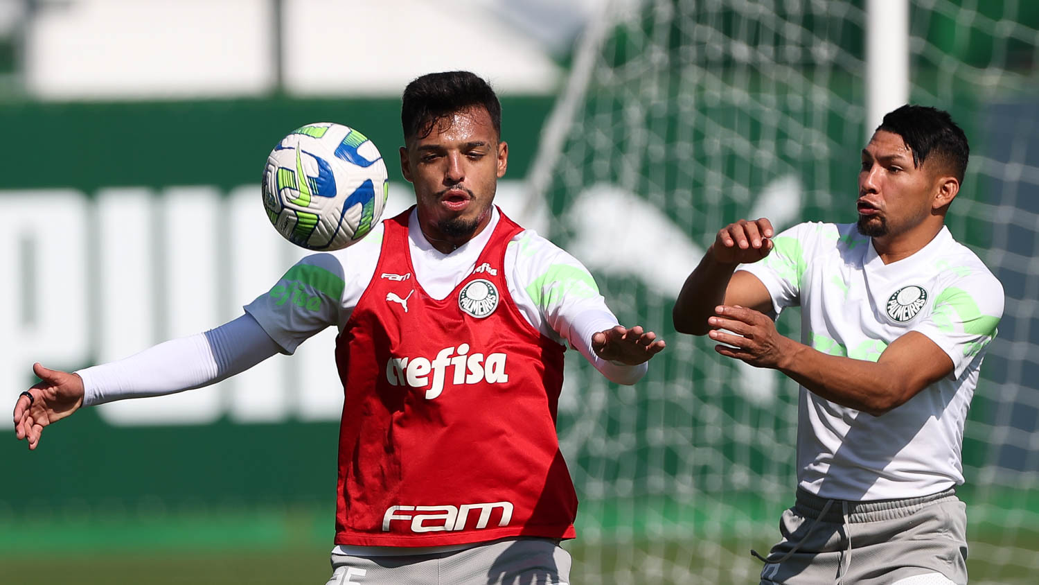 Palmeiras contará com Allianz Parque lotado (Foto: Cesar Greco/Palmeiras/by Canon)