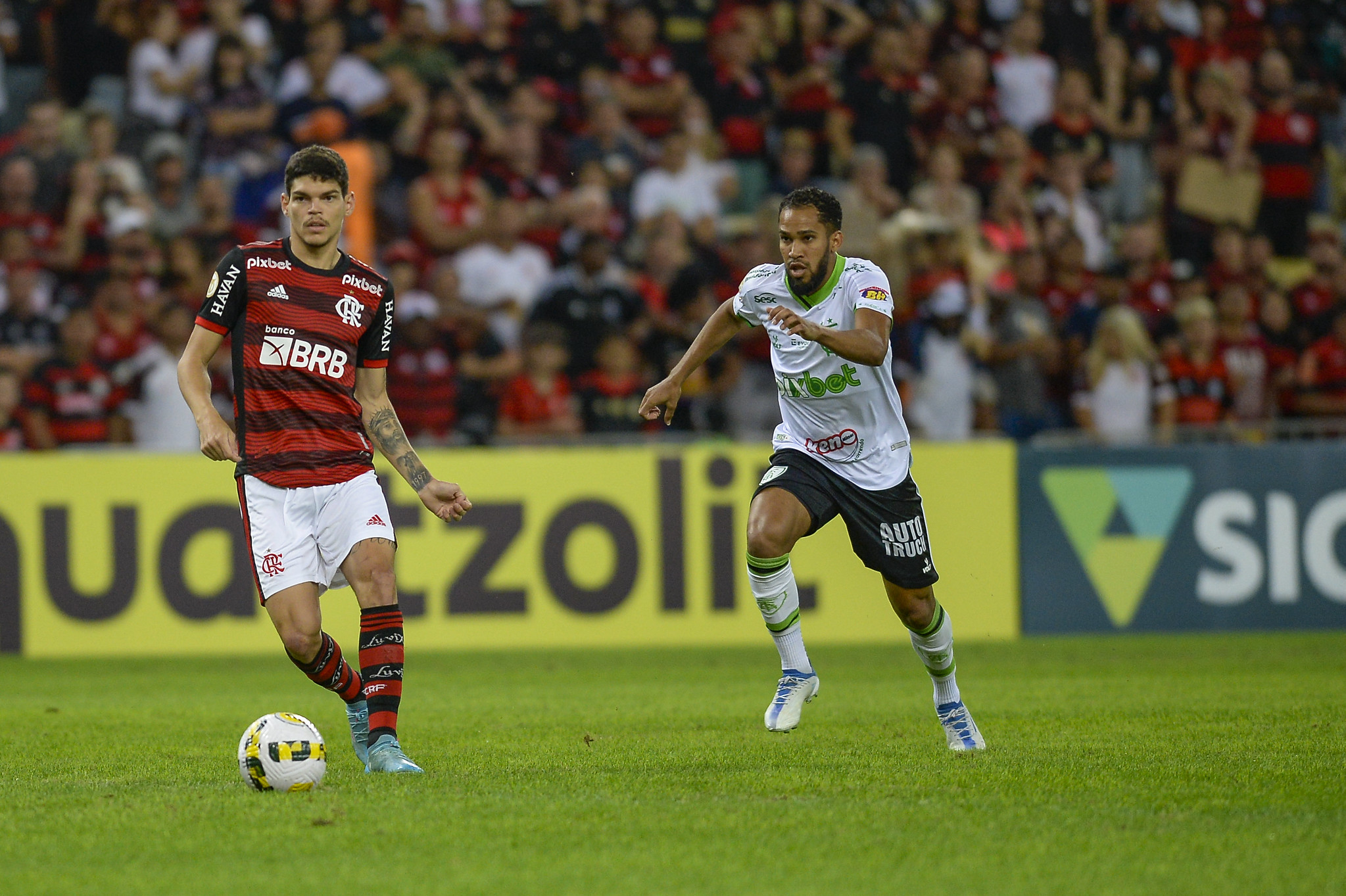 Flamengo venceu os dois jogos contra o América-MG no Brasileirão do ano passado (Foto: Marcelo Cortes | Flamengo)