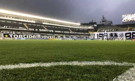 Gramado da Vila Belmiro (Divulgaçao: Santos FC)