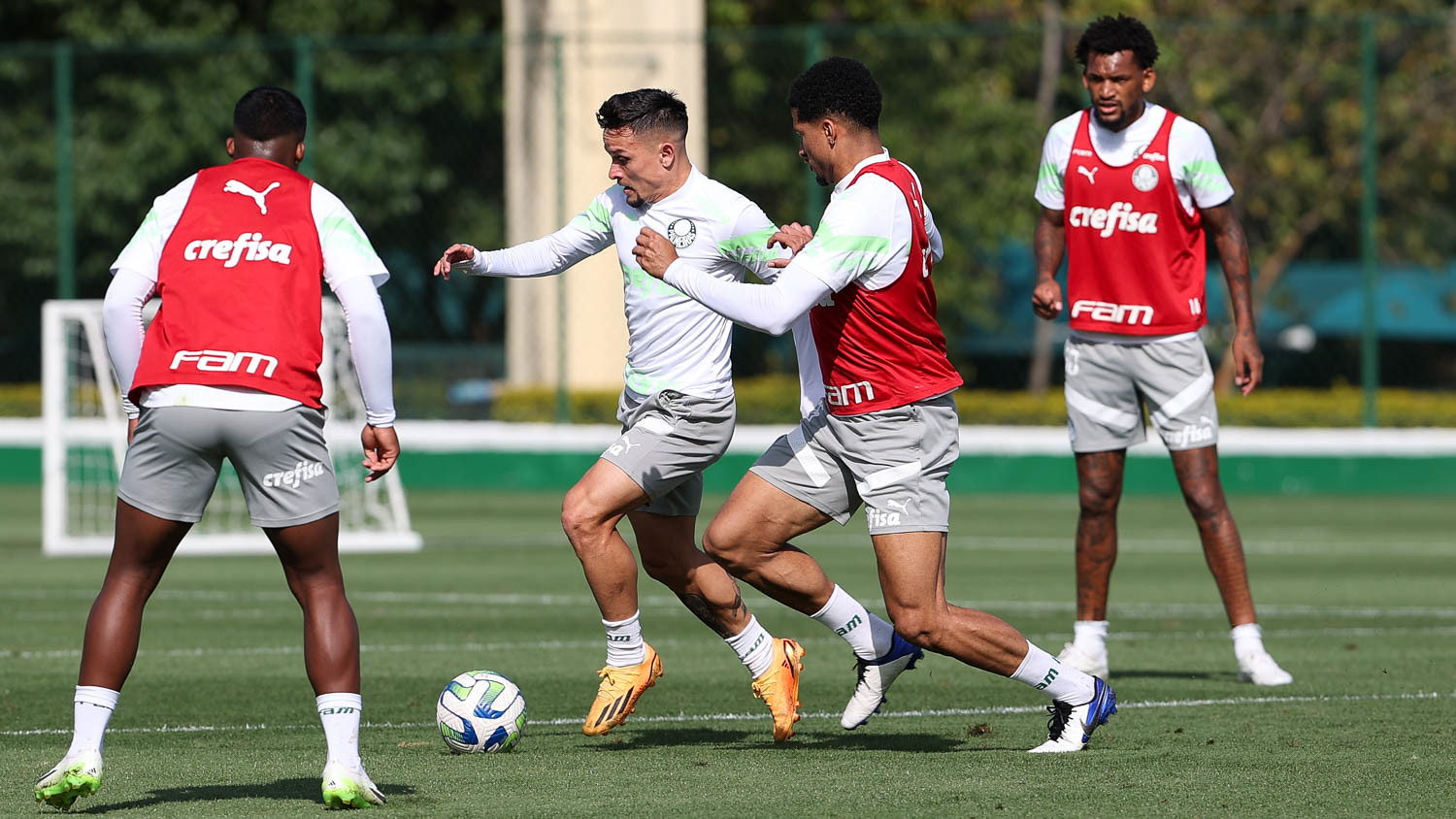 Palmeiras: Semana tem Libertadores na Colômbia e duelo contra o Vasco em casa. (Foto: Cesar Greco/Palmeiras)