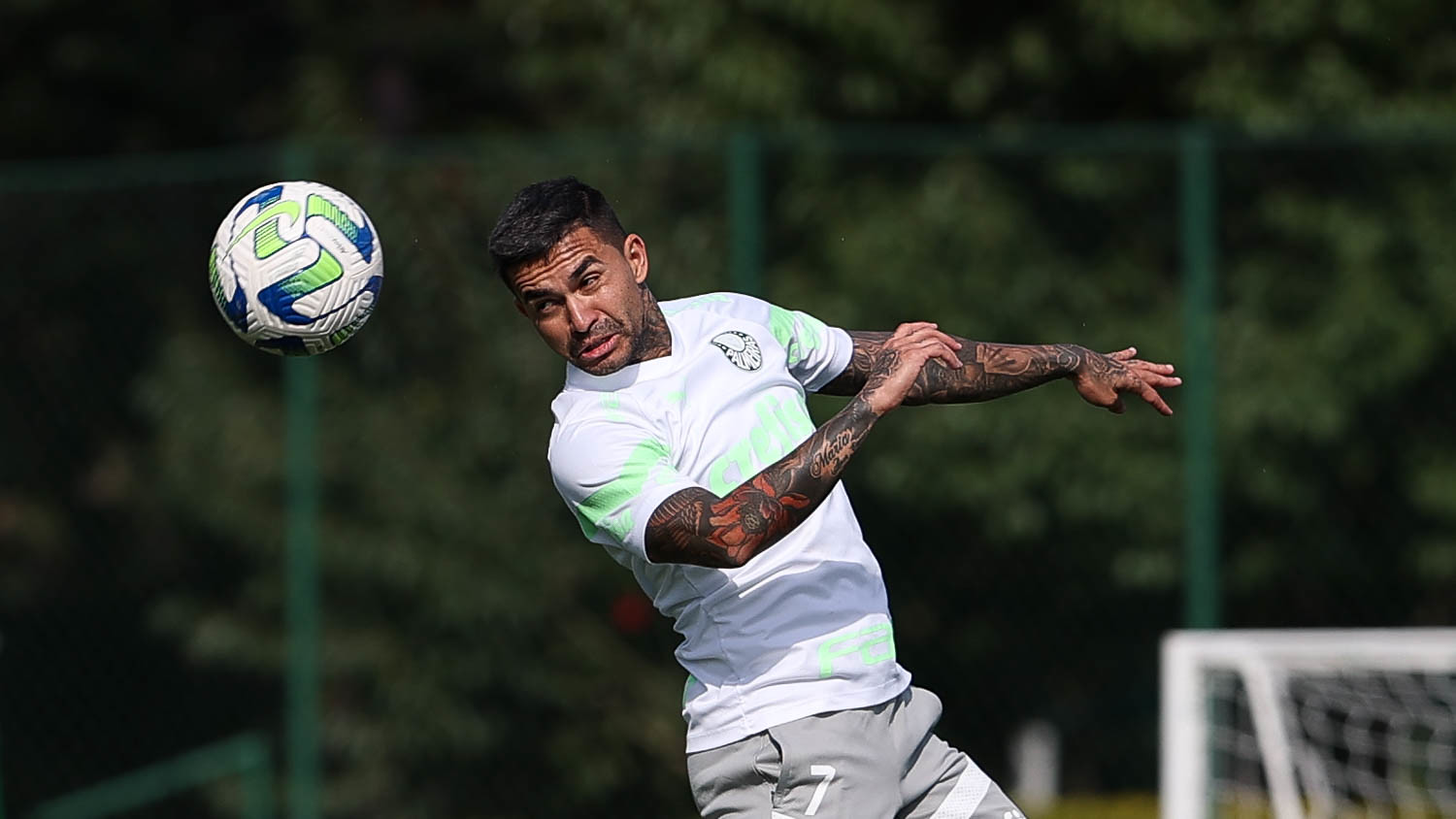 Atacante Dudu durante treino do Palmeiras na Academia de Futebol nesta segunda-feira(21). FOTO: Cesar Greco/Palmeiras.